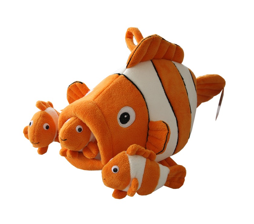 Clownfish