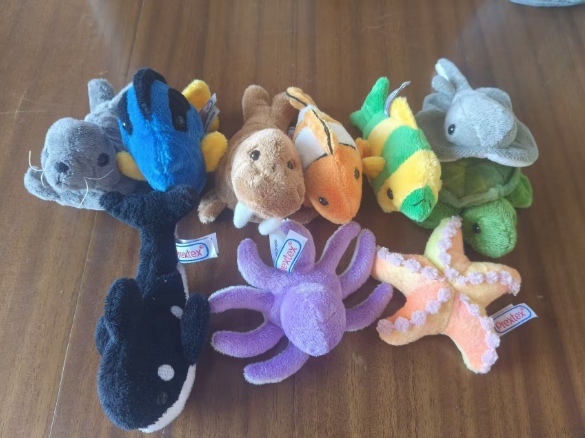 10-ocean-animals