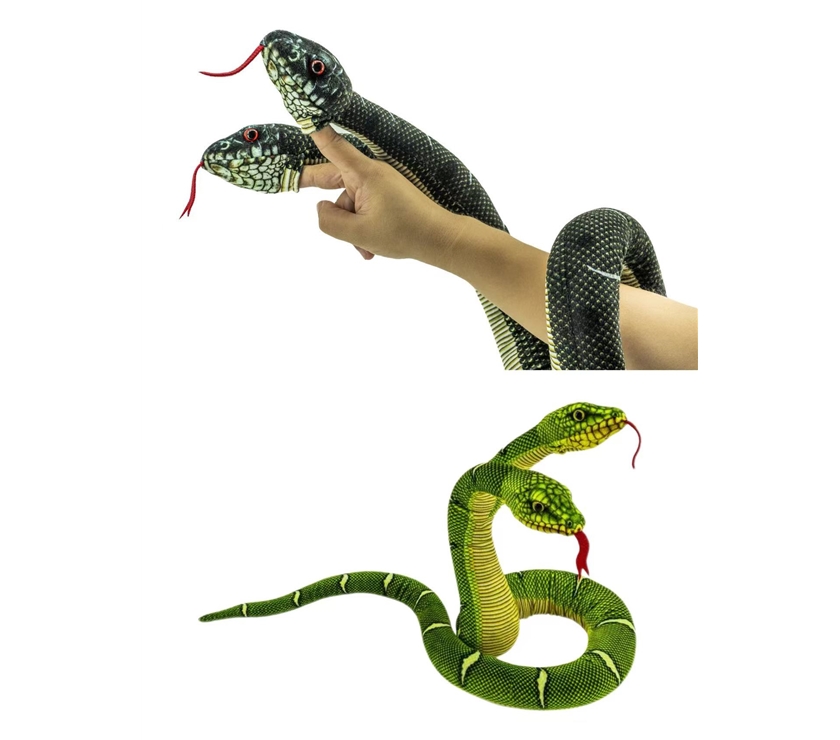two-headed snake